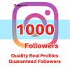 buy instagram followers 1000