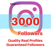 buy instagram followers 3000